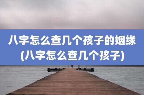 八字怎么查几个孩子的姻缘(八字怎么查几个孩子)