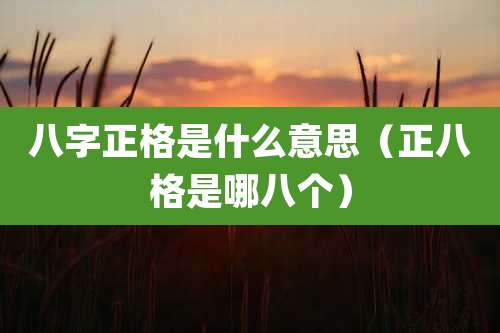 八字正格是什么意思(正八格是哪八个)