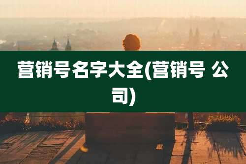 营销号名字大全(营销号 公司)