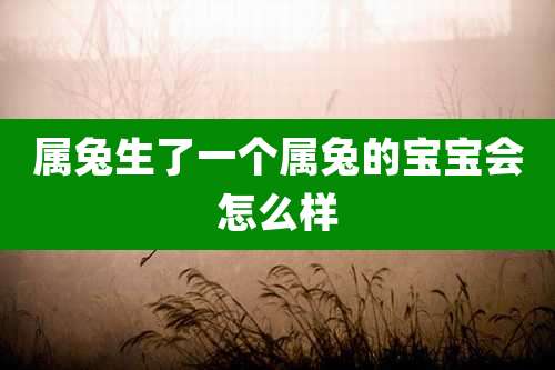 属兔生了一个属兔的宝宝会怎么样