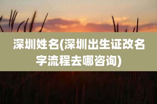 深圳姓名(深圳出生证改名字流程去哪咨询)