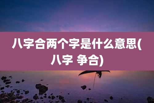 八字合两个字是什么意思(八字 争合)