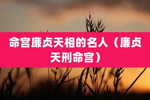 命宫廉贞天相的名人(廉贞天刑命宫)
