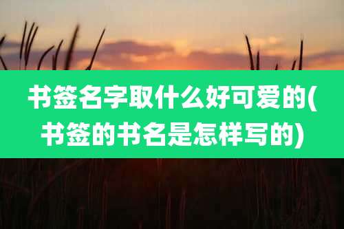 书签名字取什么好可爱的(书签的书名是怎样写的)