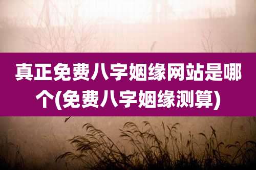 真正免费八字姻缘网站是哪个(免费八字姻缘测算)