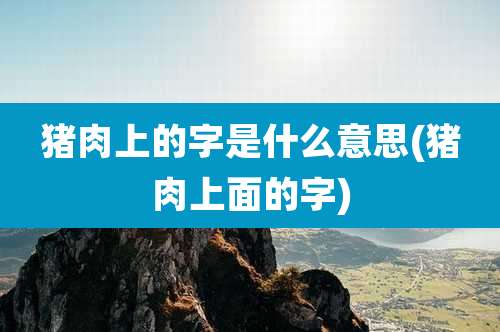 猪肉上的字是什么意思(猪肉上面的字)