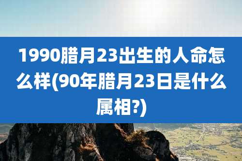 1990腊月23出生的人命怎么样(90年腊月23日是什么属相?)