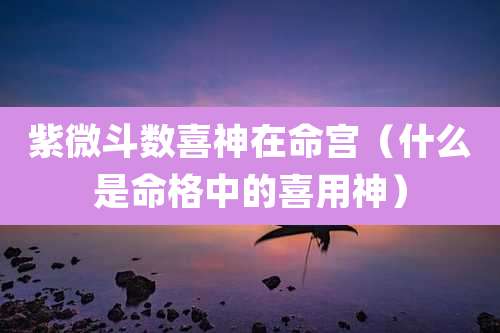 紫微斗数喜神在命宫(什么是命格中的喜用神)