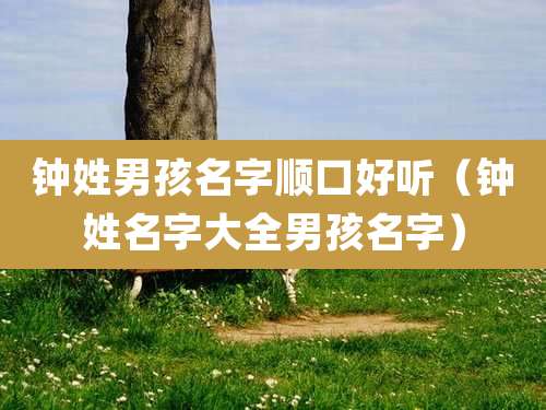 钟姓男孩名字顺口好听（钟姓名字大全男孩名字）