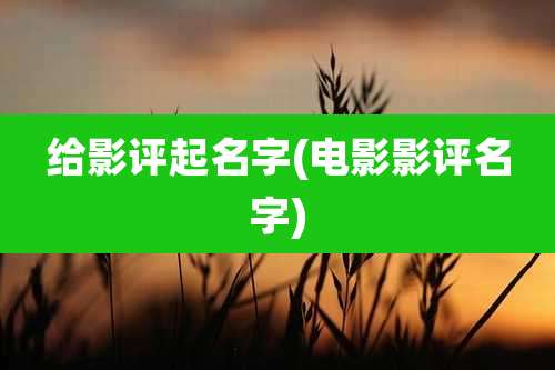 给影评起名字(电影影评名字)