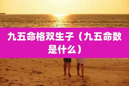 九五命格双生子（九五命数是什么）