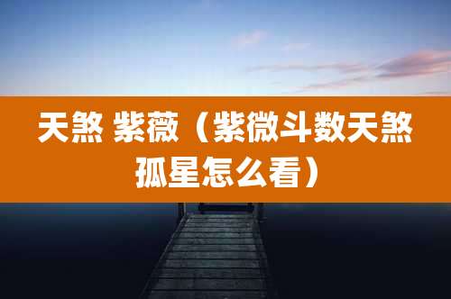 天煞 紫薇(紫微斗数天煞孤星怎么看)