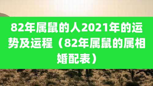 82年属鼠的人2021年的运势及运程(82年属鼠的属相婚配表)