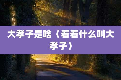 大孝子是啥(看看什么叫大孝子)