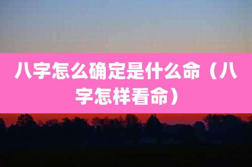 八字怎么确定是什么命（八字怎样看命）