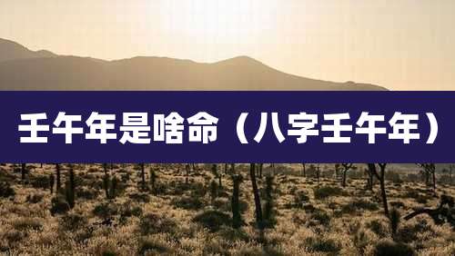 壬午年是啥命(八字壬午年)
