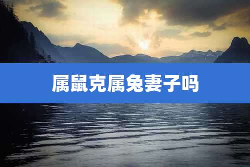 属鼠克属兔妻子吗