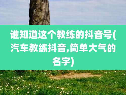谁知道这个教练的抖音号(汽车教练抖音,简单大气的名字)