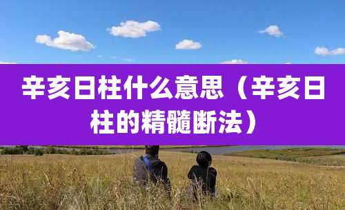 辛亥日柱什么意思(辛亥日柱的精髓断法)