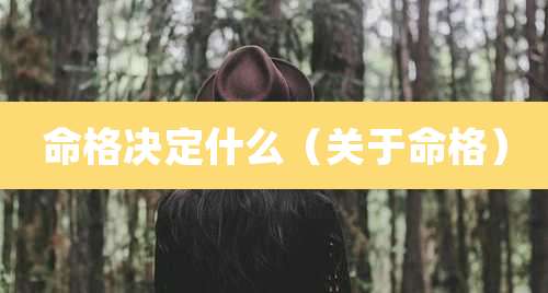 命格决定什么（关于命格）