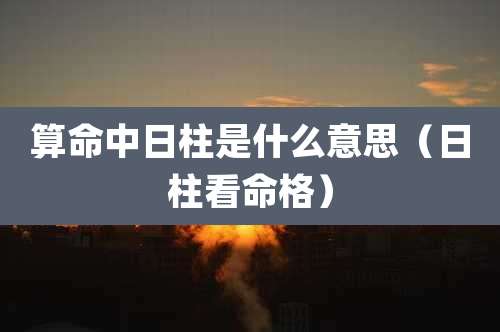 算命中日柱是什么意思（日柱看命格）
