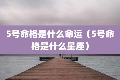 5号命格是什么命运（5号命格是什么星座）