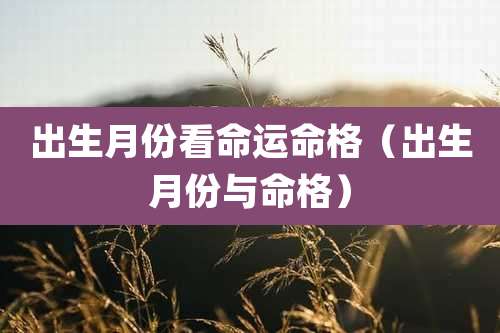 出生月份看命运命格（出生月份与命格）