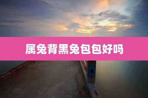 属兔背黑兔包包好吗