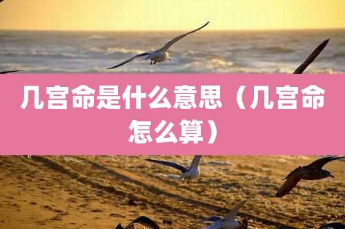 几宫命是什么意思（几宫命怎么算）