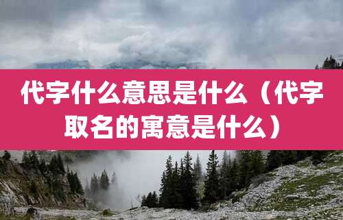 代字什么意思是什么（代字取名的寓意是什么）