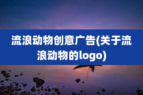 流浪动物创意广告(关于流浪动物的logo)