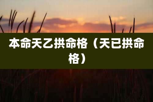 本命天乙拱命格（天已拱命格）