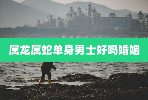属龙属蛇单身男士好吗婚姻