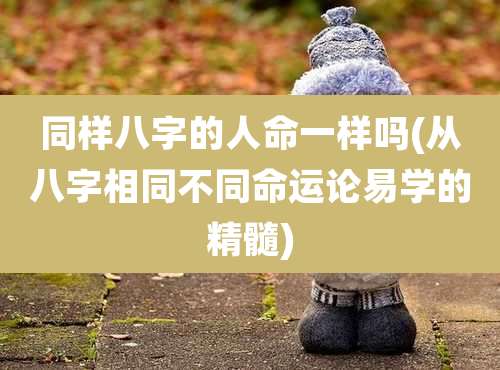 同样八字的人命一样吗(从八字相同不同命运论易学的精髓)