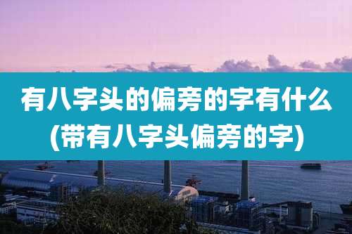有八字头的偏旁的字有什么(带有八字头偏旁的字)