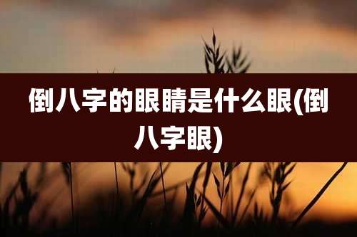 倒八字的眼睛是什么眼(倒八字眼)
