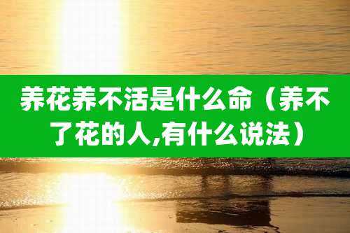 养花养不活是什么命（养不了花的人,有什么说法）