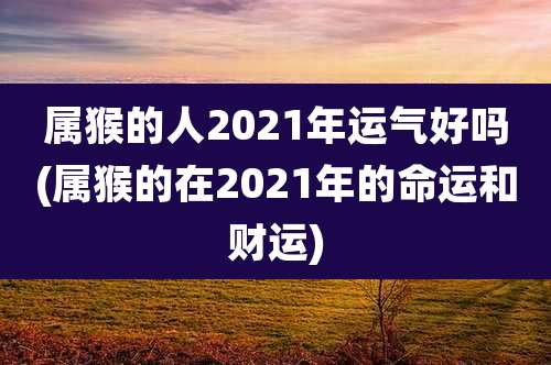 属猴的人2021年运气好吗(属猴的在2021年的命运和财运)