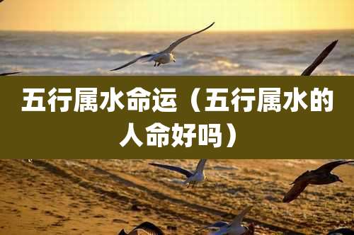 五行属水命运（五行属水的人命好吗）