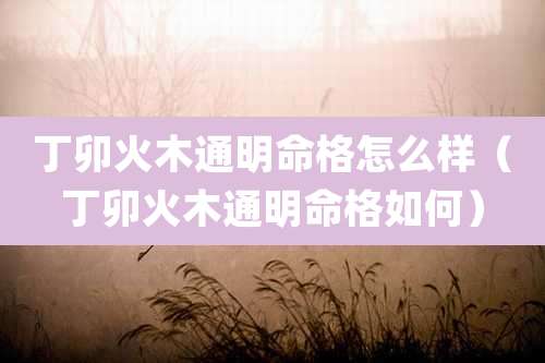 丁卯火木通明命格怎么样(丁卯火木通明命格如何)