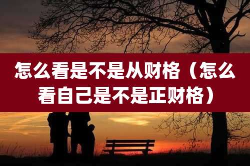 怎么看是不是从财格(怎么看自己是不是正财格)