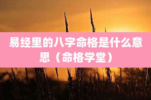 易经里的八字命格是什么意思（命格学堂）