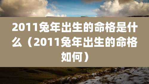 2011兔年出生的命格是什么(2011兔年出生的命格如何)