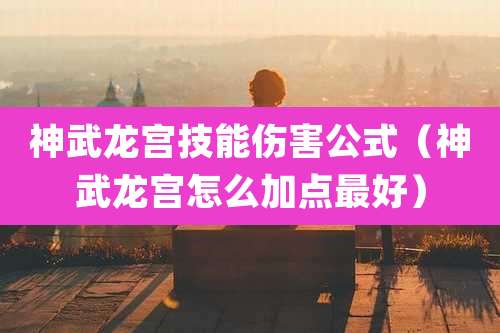 神武龙宫技能伤害公式(神武龙宫怎么加点最好)