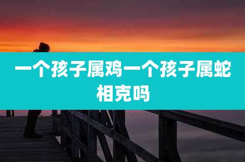 一个孩子属鸡一个孩子属蛇相克吗