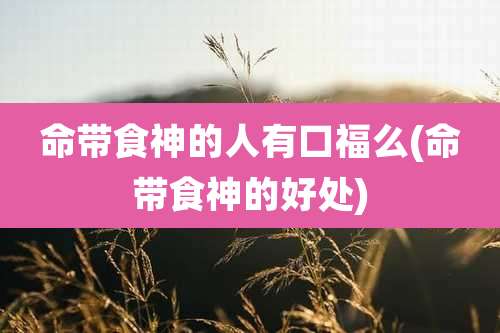命带食神的人有口福么(命带食神的好处)