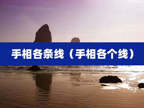 手相各条线(手相各个线)