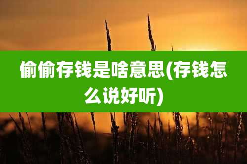 偷偷存钱是啥意思(存钱怎么说好听)