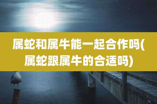 属蛇和属牛能一起合作吗(属蛇跟属牛的合适吗)