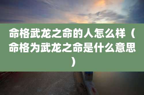 命格武龙之命的人怎么样(命格为武龙之命是什么意思)